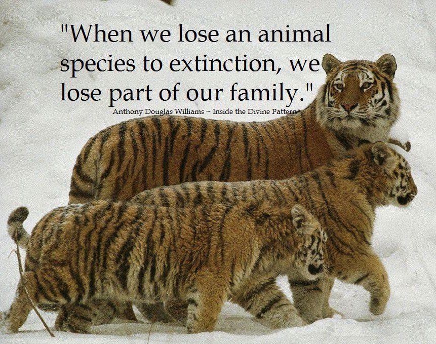 Quote on Extinction by Anthony Douglas | | Dont Give Up World