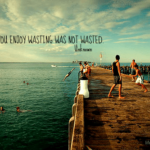 Quote Time you enjoyed wasting was not wasted