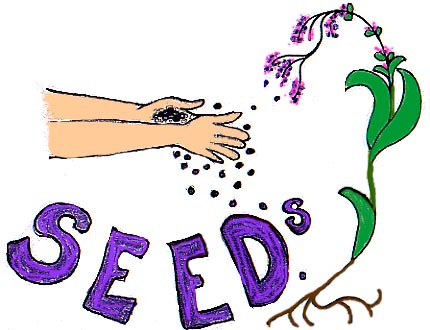 seed Law of Seed.... An Article....  personal development featured posts motivational articles   