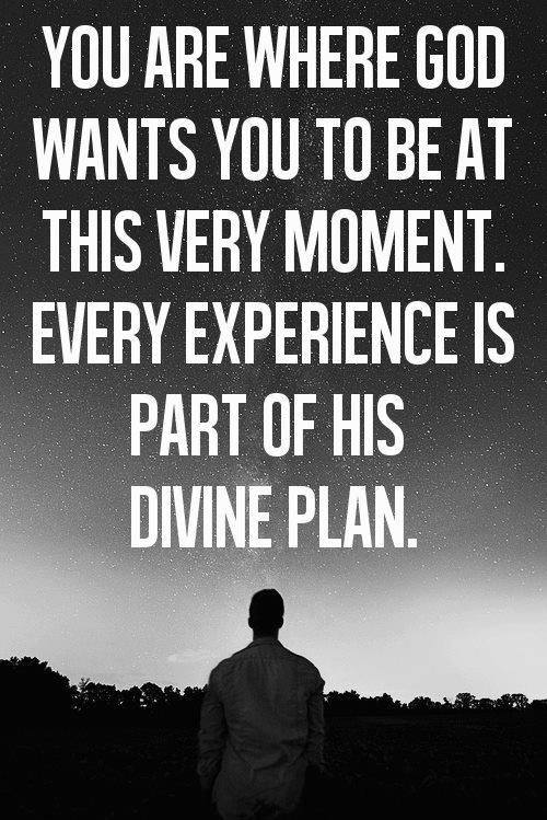 Quote on Gods divine Plan Quote on Gods divine Plan motivational 