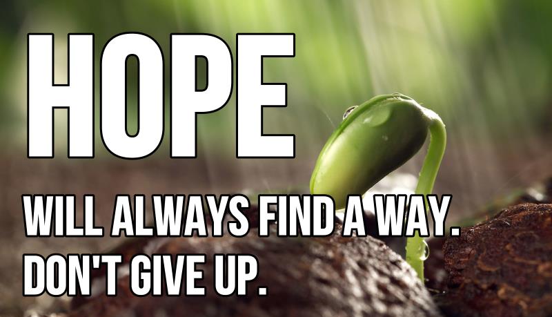 Motivational Wallpaper on Hope: Hope will always find a way. - Dont Give Up  World