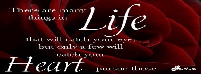 Life Inspirational Timeline Covers: There are many things in Life ...