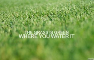 Motivational Wallpaper on Action And Reaction: The grass is green where ...