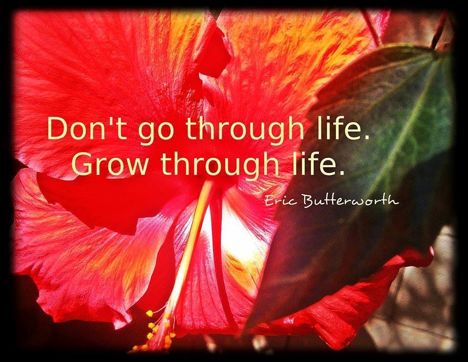 Quote Don't go through life Grow through Life by Eric Butterworth