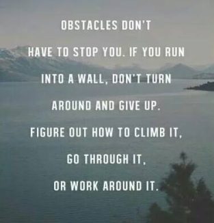 Quote on overcoming obstacles by either climbing , going through it or ...