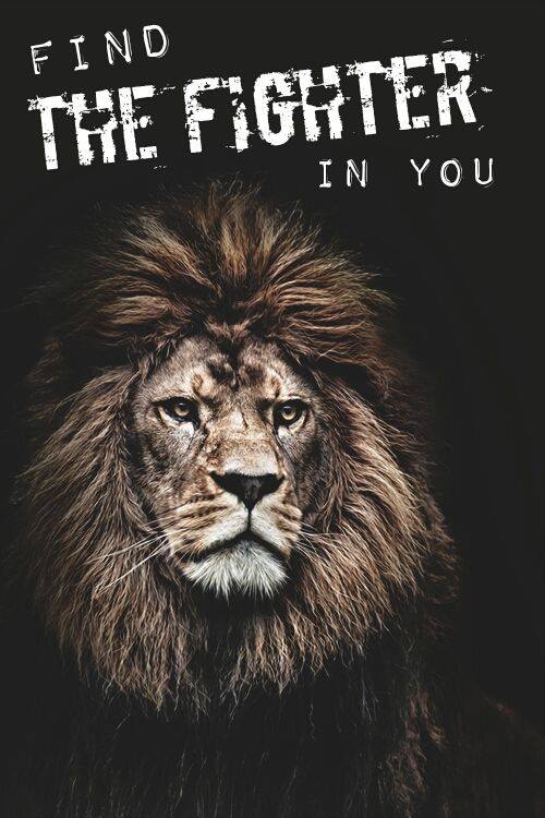 Lion Quote Find The Fighter In You Dont Give Up World
