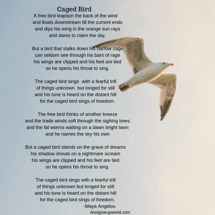 essay on the poem caged bird