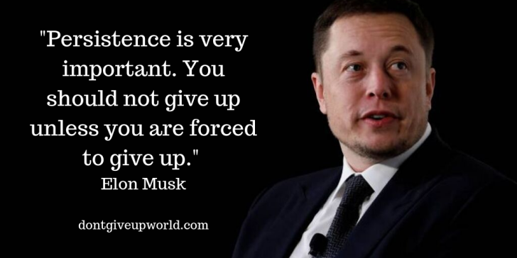 Quote on Persistence by Elon Musk - Dont Give Up World