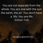 Quote | You are life by Eckhart Tolle