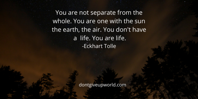 Quote | You are life by Eckhart Tolle