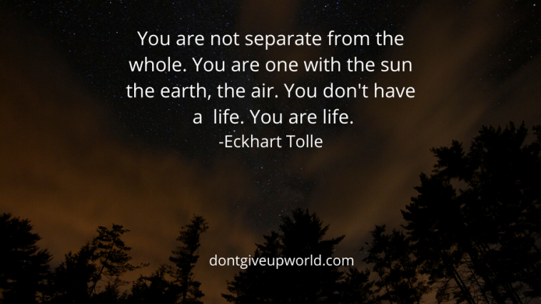 Quote | You are life by Eckhart Tolle