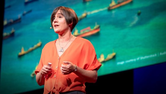 Nicola Jonas | TED | Dangers of noisy ocean