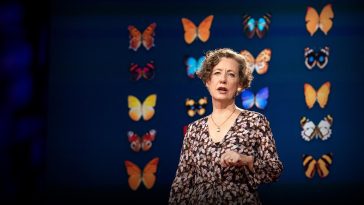 How you can help save the butterfly and the planet