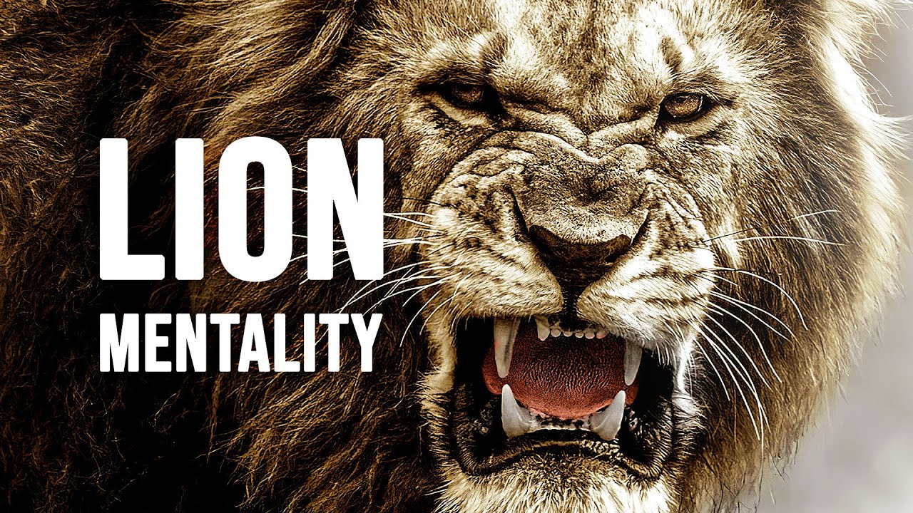 motivational-video-lion-mentality-dont-give-up-world