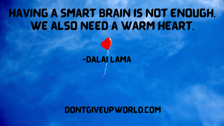 quote on the smart brain and warm heart by dalai lama