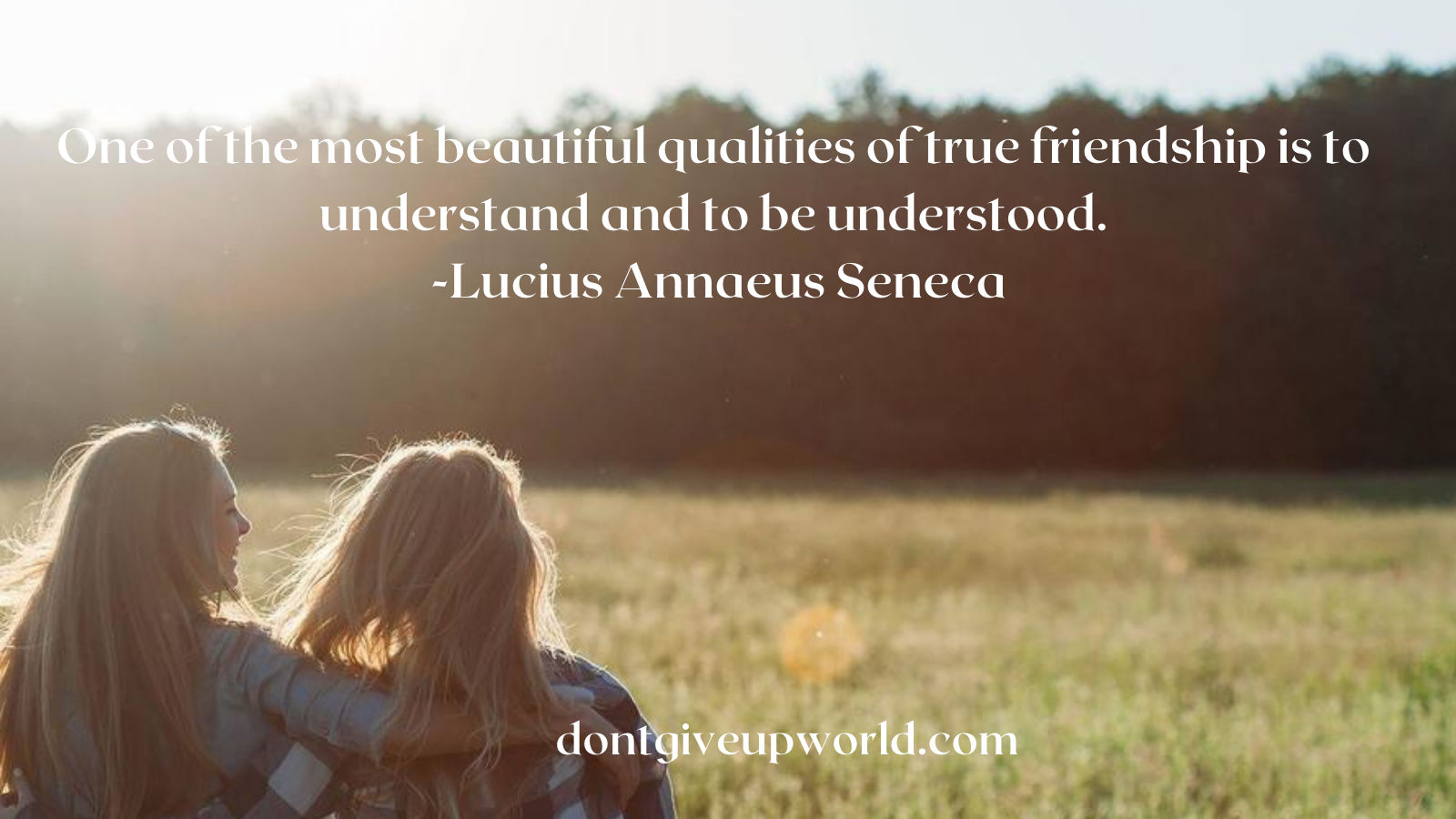 Quote on qualities of true friendship by Lucius Annaeus Seneca