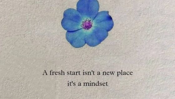 A Fresh Start Is Not a Place Its a Mindset