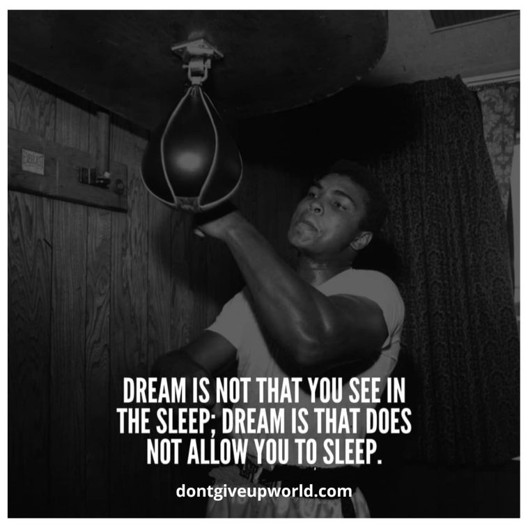 Dream is Not that You See in the Sleep Dream is That Does Not Allow You to Sleep