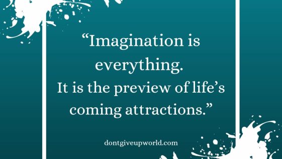 Imagination is Everything it is the preview of life coming attractions