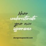 Never Underestimate Your Own Ignorance