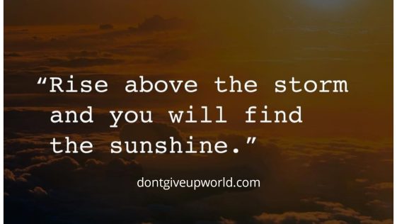 Rise Above The Storm And You Will Find The Sunshine