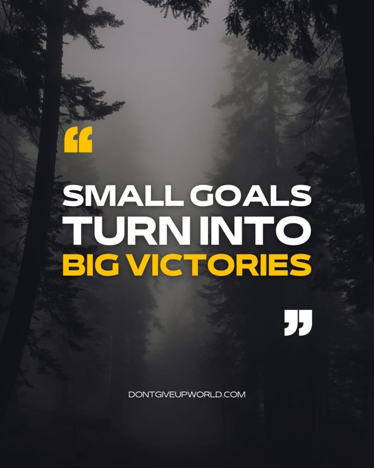 Small Goals Turn Into Big Victories