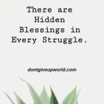 There are hidden Blessing in Every Struggle