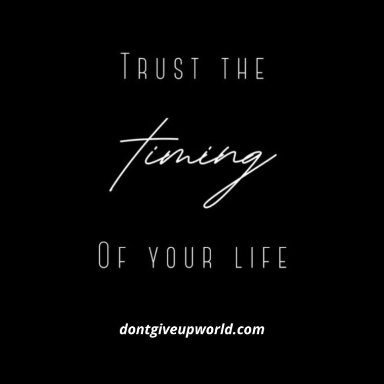 Trust the Timing of your Life