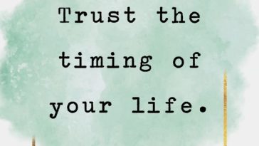 Trust the timing of your life
