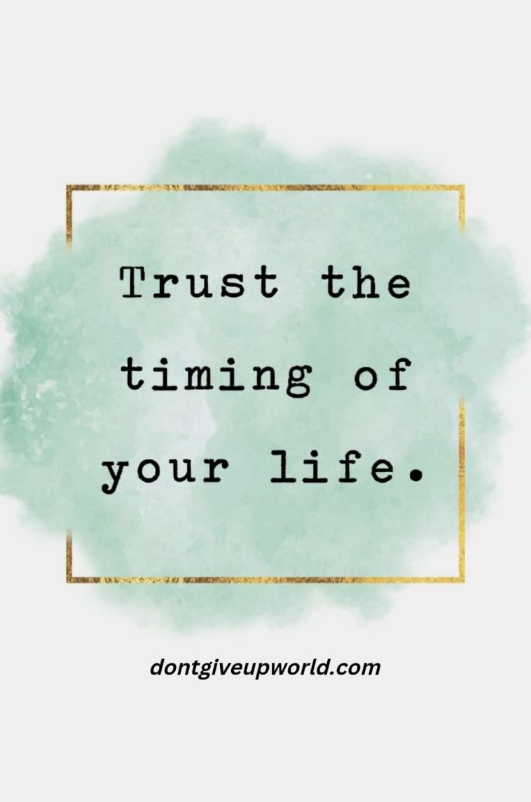 Trust the timing of your life