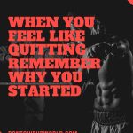 When You Feel Like Quitting Remember Why You Started