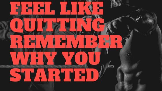 When You Feel Like Quitting Remember Why You Started