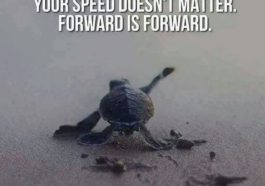 Your Speed Does Not Matter, Forward is Forward