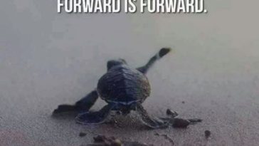 Your Speed Does Not Matter, Forward is Forward
