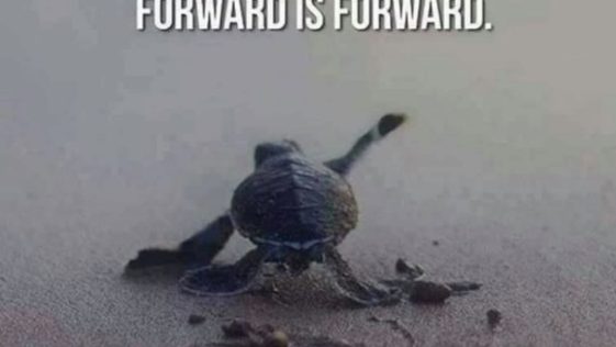 Your Speed Does Not Matter, Forward is Forward