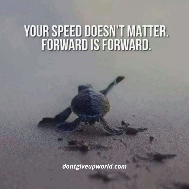 Your Speed Does Not Matter, Forward is Forward