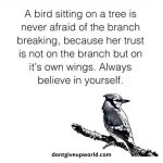 A Bird Sitting On A Tree Is Never Afraid Of The Branch Breaking