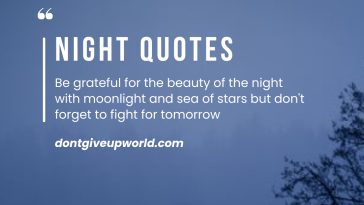 Be grateful for the beauty of the night with moonlight