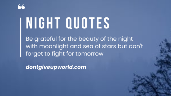 Be grateful for the beauty of the night with moonlight