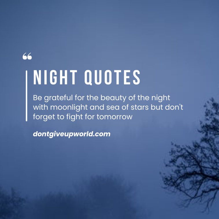 Be grateful for the beauty of the night with moonlight