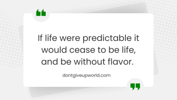 If life were predictable it would cease to be life and be without flavor