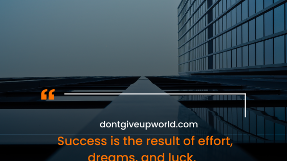 Success is the result of effort dreams and luck