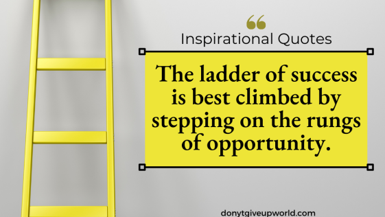 The ladder of success is best climbed by stepping on the rungs of opportunity