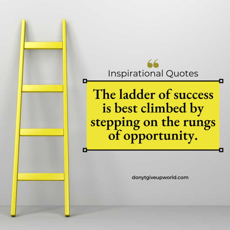 The ladder of success is best climbed by stepping on the rungs of opportunity