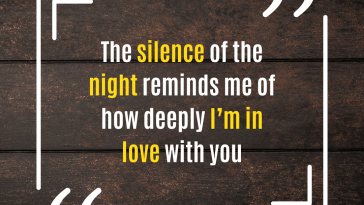 The silence of the night reminds me of how deeply I am in love with you