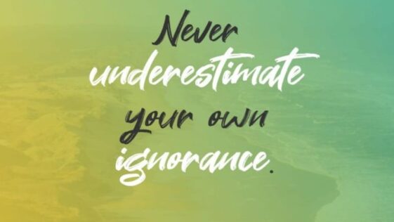 Never underestimate your own ignorance