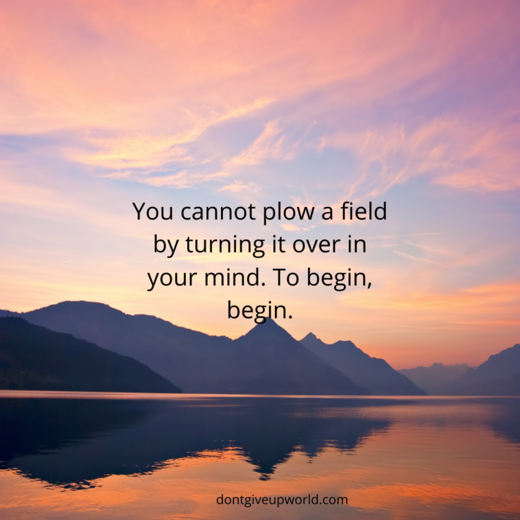 You cannot plow a field by turning it over in your mind To begin begin