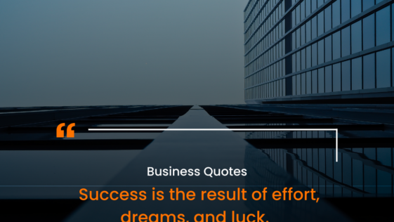 Success is the result of effort, dreams, and luck. (1)