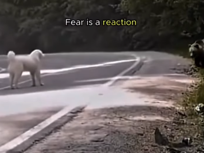 Courage and Fear