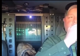 Officer and K9